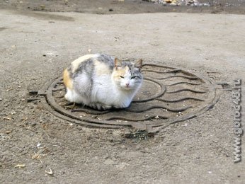 Завтра до +7 Завтра до +7