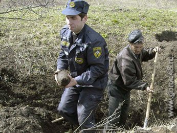 Плуг выворотил 82-миллиметровую мину Плуг выворотил 82-миллиметровую мину