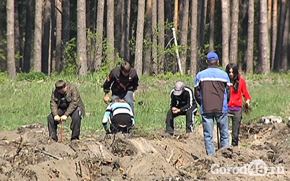 Липецкие леса продолжают восстанавливать после пожаров Липецкие леса продолжают восстанавливать после пожаров