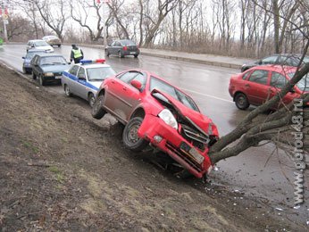 В Липецке автомобиль свалил дерево В Липецке автомобиль свалил дерево
