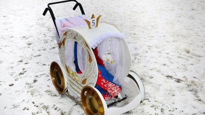 В Липецкой области пройдет фестиваль саней В Липецкой области пройдет фестиваль саней
