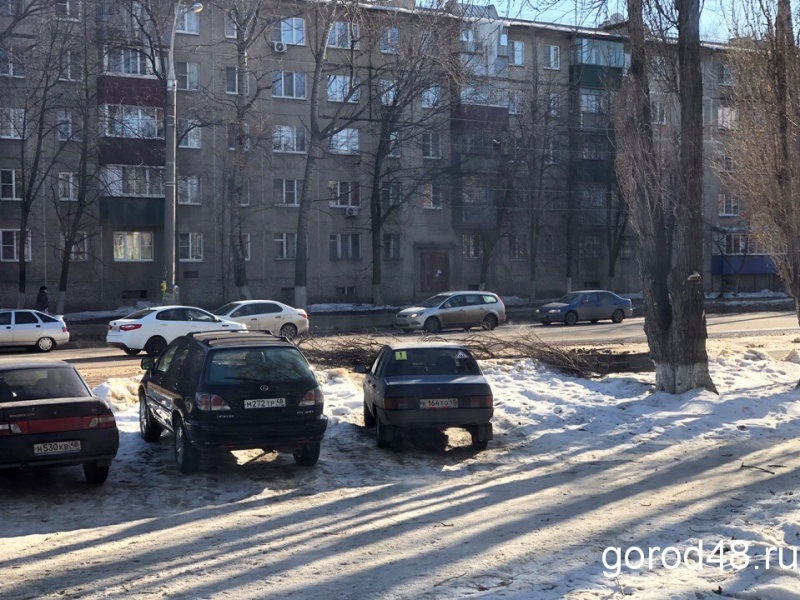 Еще одно дерево упало в Липецке Еще одно дерево упало в Липецке