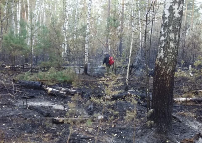 Пять дней понадобилось на ликвидацию пожара в заповеднике в Липецкой области Пять дней понадобилось на ликвидацию пожара в заповеднике в Липецкой области