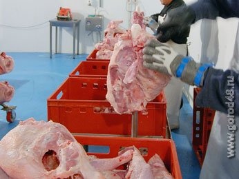 На птицефабрике под Липецком зафиксирована вспышка сальмонеллеза На птицефабрике под Липецком зафиксирована вспышка сальмонеллеза