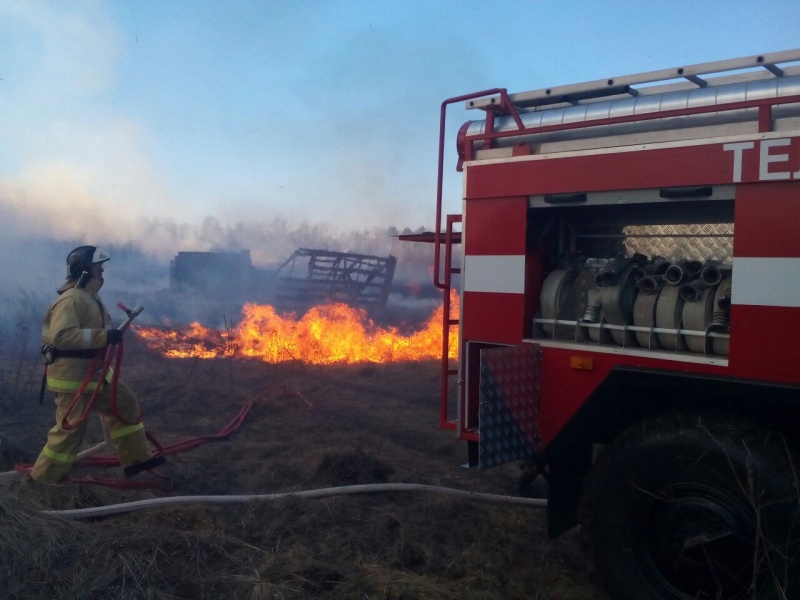 Под Липецком несколько часов тушили горящую траву Под Липецком несколько часов тушили горящую траву