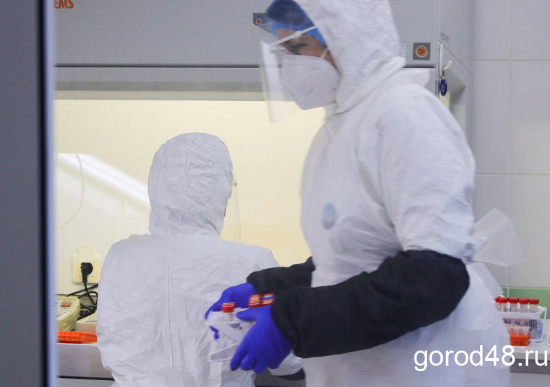 Мальчик из Липецка попросил Деда Мороза ликвидировать COVID-19 Мальчик из Липецка попросил Деда Мороза ликвидировать COVID-19