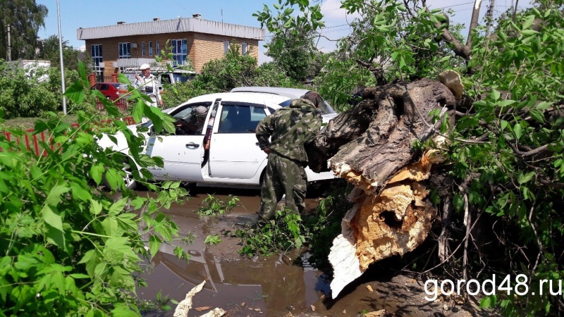 11 деревьев. Ураган в Липецке. Ураганный ветер в Липецке. Ураган в Липецке 1987. Ураган в Липецке в 2012 году.