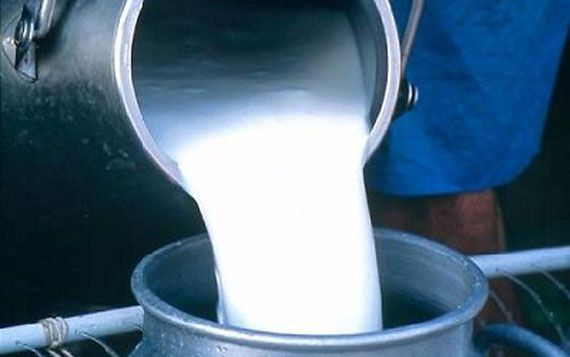 В Грязях продавали сомнительную молочную продукцию В Грязях продавали сомнительную молочную продукцию
