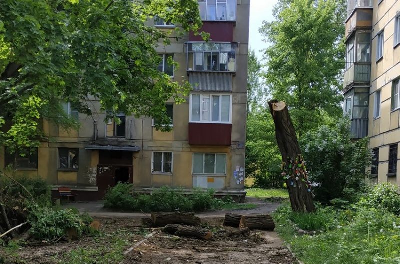 Угрожавшее людям дерево спилили в 8-м микрорайоне после публикации GOROD48 (ФОТО) Угрожавшее людям дерево спилили в 8-м микрорайоне после публикации GOROD48 (ФОТО)