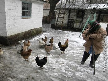 В Липецкой области продолжается вакцинация против птичьего гриппа В Липецкой области продолжается вакцинация против птичьего гриппа