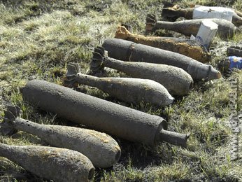 Усманская пенсионерка откопала мину Усманская пенсионерка откопала мину