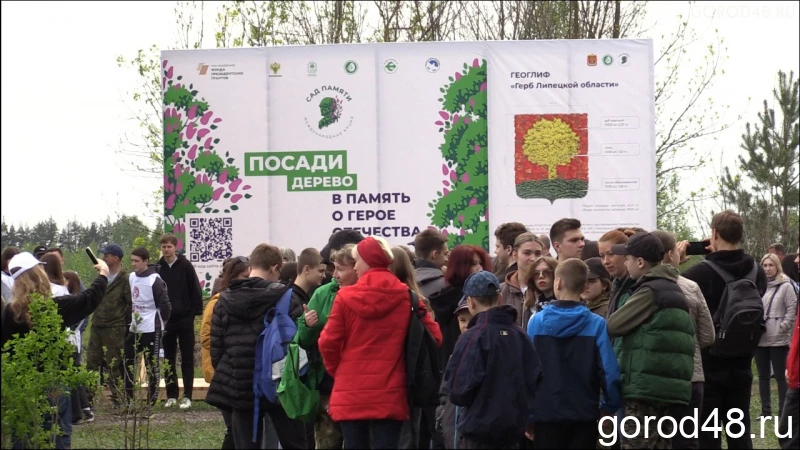 Герб Липецкой области высажен из 20 тысяч деревьев
