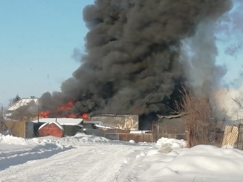 Во время крупного пожара под Ельцом пострадал человек Во время крупного пожара под Ельцом пострадал человек