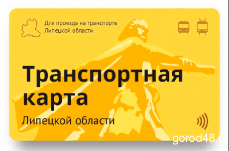 На льготные транспортные карты для школьников из многодетных семей поступило 4 тысячи заявок На льготные транспортные карты для школьников из многодетных семей поступило 4 тысячи заявок