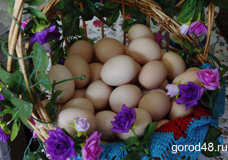 Статистика: куры-несушки в хозяйствах Липецкой области принесли больше яиц