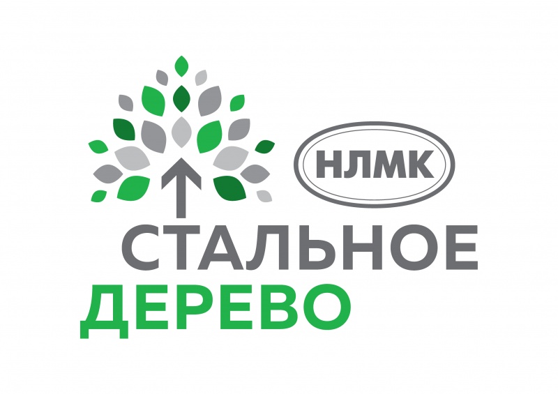В Липецкой области стартует очередной этап грантовой программы «Стальное дерево» В Липецкой области стартует очередной этап грантовой программы «Стальное дерево»