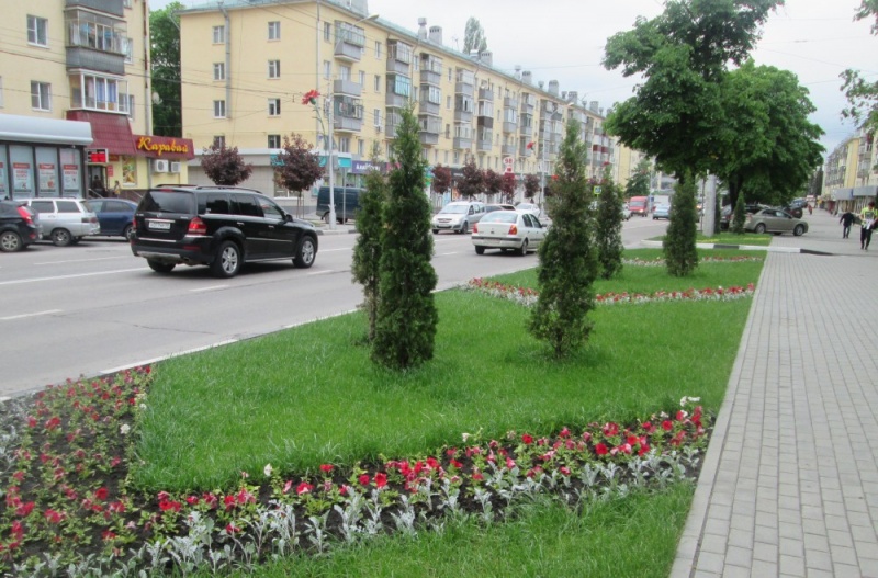 В мэрии Липецка обсудили проект по благоустройству и развитию города В мэрии Липецка обсудили проект по благоустройству и развитию города