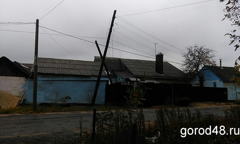 Упавшее дерево оставило без света переулок Упавшее дерево оставило без света переулок