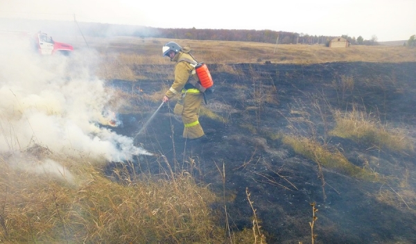 Спасатели не дали огню подойти к домам в Данковском районе