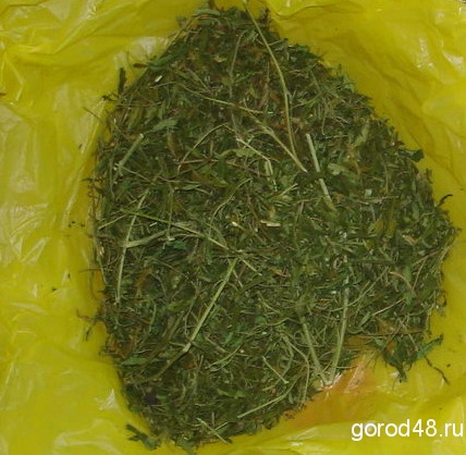 У чаплыгинца изъяли марихуану У чаплыгинца изъяли марихуану