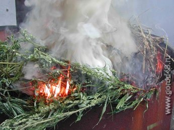В Липецке сожгли 15 килограммов наркотиков В Липецке сожгли 15 килограммов наркотиков