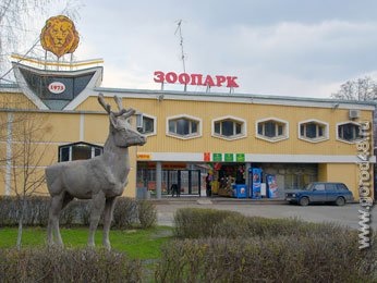 В Липецком зоопарке окотилась пума В Липецком зоопарке окотилась пума