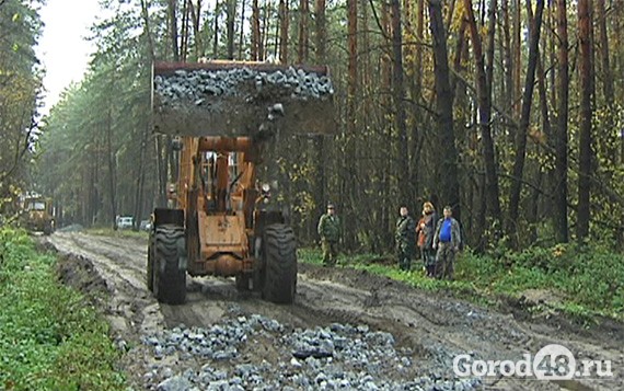 В Липецких лесах делают дороги В Липецких лесах делают дороги