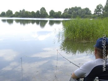 В Липецкой области пройдет чемпионат семейной рыбалки В Липецкой области пройдет чемпионат семейной рыбалки