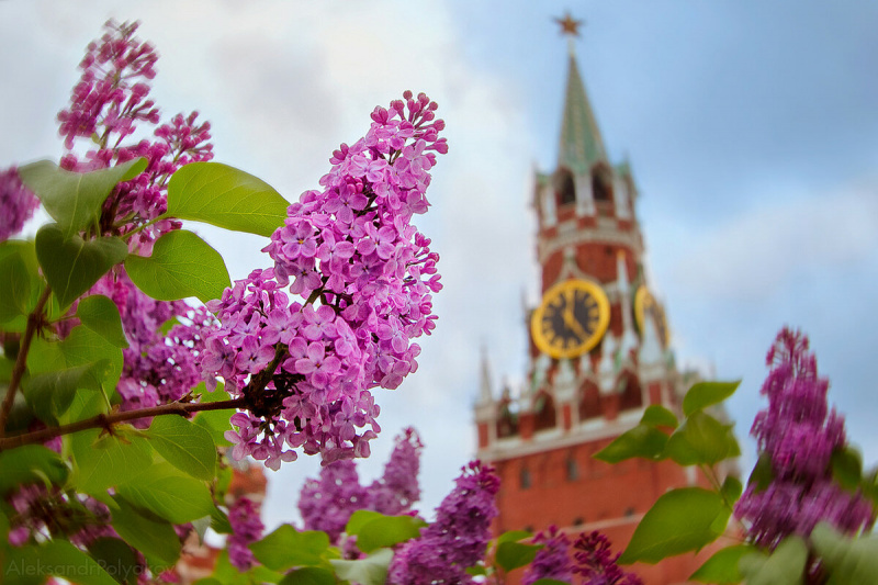 В Госдуме высказались против переноса майских праздников В Госдуме высказались против переноса майских праздников