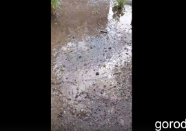 На улице бьет ключ из-под асфальта второй день