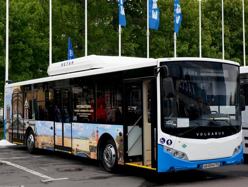 Частные перевозчики могут приобрести 50 новых автобусов в следующем году Частные перевозчики могут приобрести 50 новых автобусов в следующем году