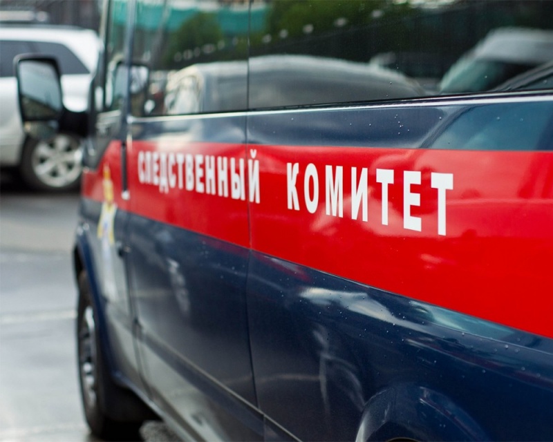 Домашние роды петербурженки привели к смерти двух младенцев Домашние роды петербурженки привели к смерти двух младенцев