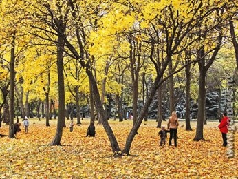 В Липецке состоится фотопленер В Липецке состоится фотопленер