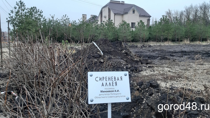 Жители переулка Любимый обратились к губернатору с просьбой спасти их общественное пространство Жители переулка Любимый обратились к губернатору с просьбой спасти их общественное пространство