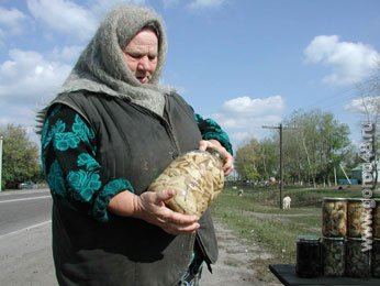 Мать и дочь в Липецке отравились консервированными грибами Мать и дочь в Липецке отравились консервированными грибами