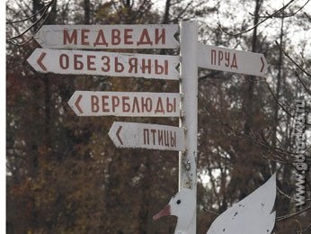 Животных отправят в школы Животных отправят в школы