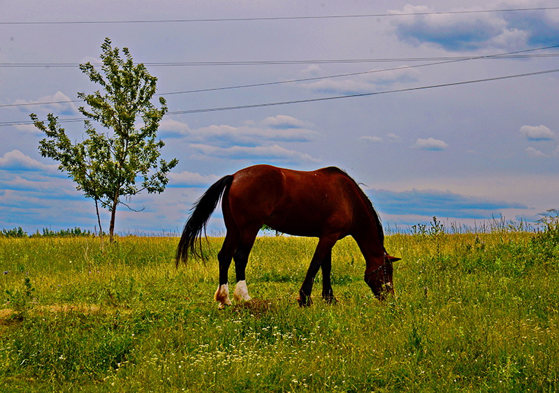 DSC_164912.jpg DSC_164912.jpg
