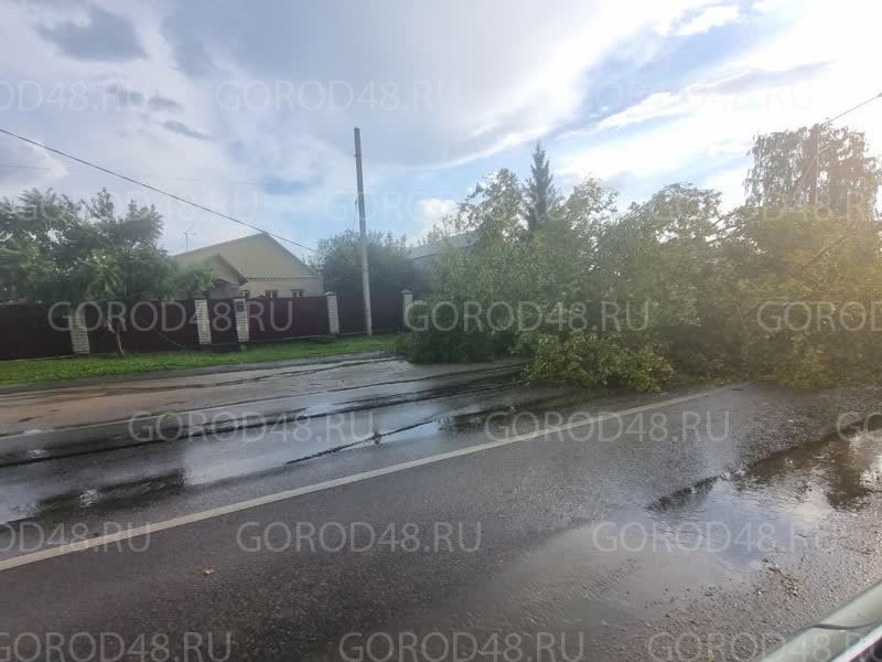 Изображение WhatsApp 2025-08-26 в 17.35.08_be7e781c.jpg+2025-08-26-17.38.34.jpg Изображение WhatsApp 2025-08-26 в 17.35.08_be7e781c.jpg+2025-08-26-17.38.34.jpg