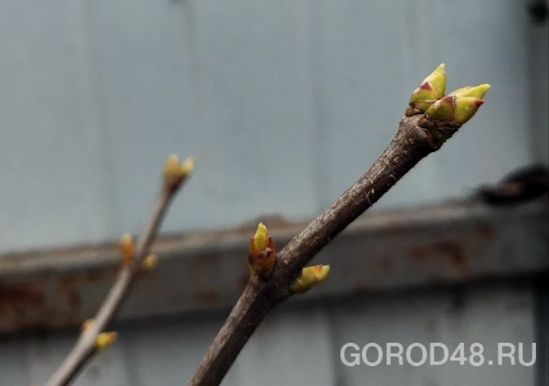 photo_2025-12-04_09-54-02 (3).jpg+2025-12-04-10.12.35+niz.jpg