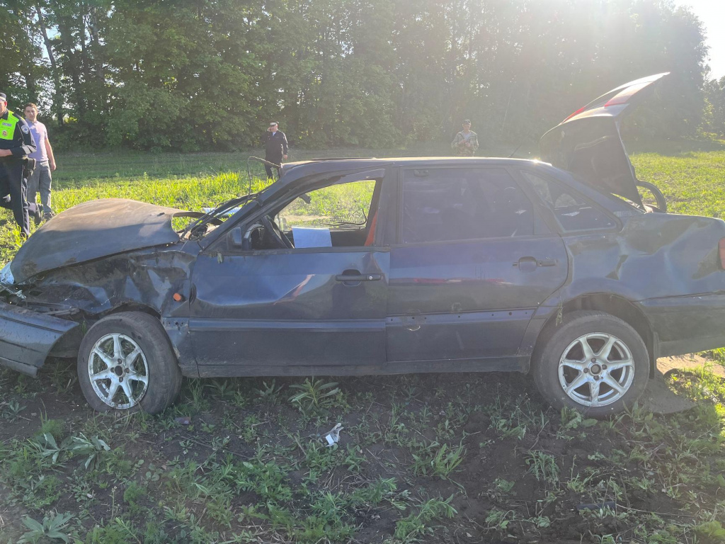 Vid_am_sleva.jpg Vid_am_sleva.jpg