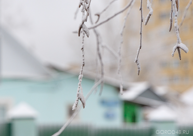 IMG_8526.jpg IMG_8526.jpg