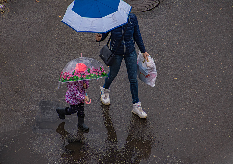 DSC_125022.jpg DSC_125022.jpg