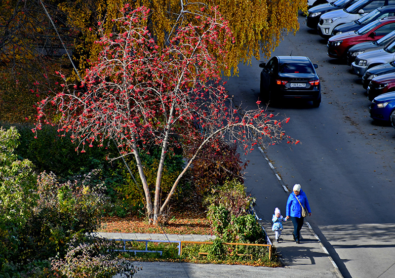 DSC 421312.jpg DSC 421312.jpg