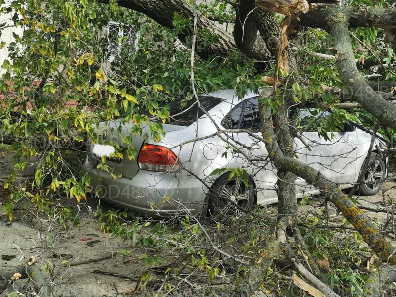 Разбилось дерево. Прохладный ураган. BMW упало дерево. В Москве упало дерево. Ураган машина.