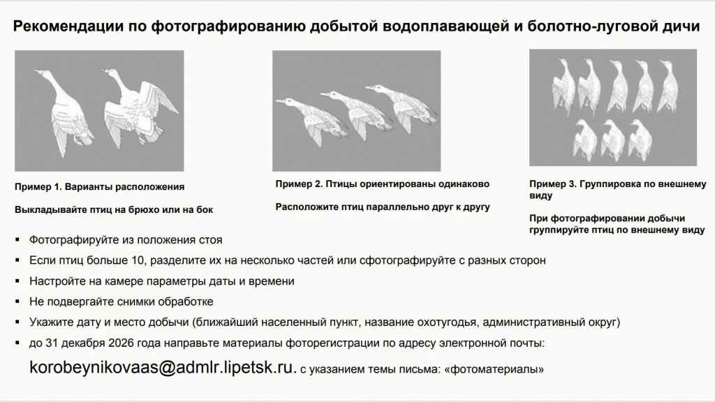 qkSzVAeP6NRYviZMKQKer18iwvtbsC5gsuPOX9q4Q714sFxFkF7F2Q7fgqaIWmi9vsDTRY5kvP_satcroW3He78z.jpg