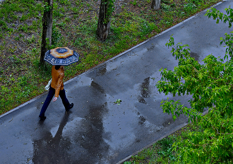 DSC_718412.jpg