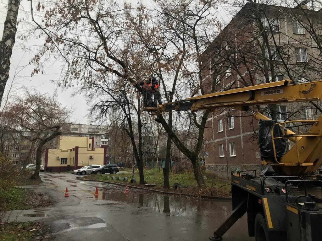 Висящее на проводе сухое дерево срезали