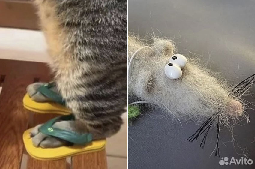 Без имени-1.jpg Без имени-1.jpg