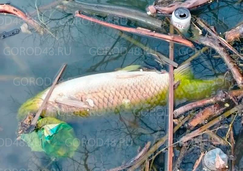 3wb0tlsMCyqmLGGlJM993-F6moHRWqA9m4B6vqk0fqkEGHYokrAtvw1S09i38Ifh09atfpoBgQS9NORmOP9wS-Tt.jpg+2026-04-13-17.46.34.jpg 3wb0tlsMCyqmLGGlJM993-F6moHRWqA9m4B6vqk0fqkEGHYokrAtvw1S09i38Ifh09atfpoBgQS9NORmOP9wS-Tt.jpg+2026-04-13-17.46.34.jpg