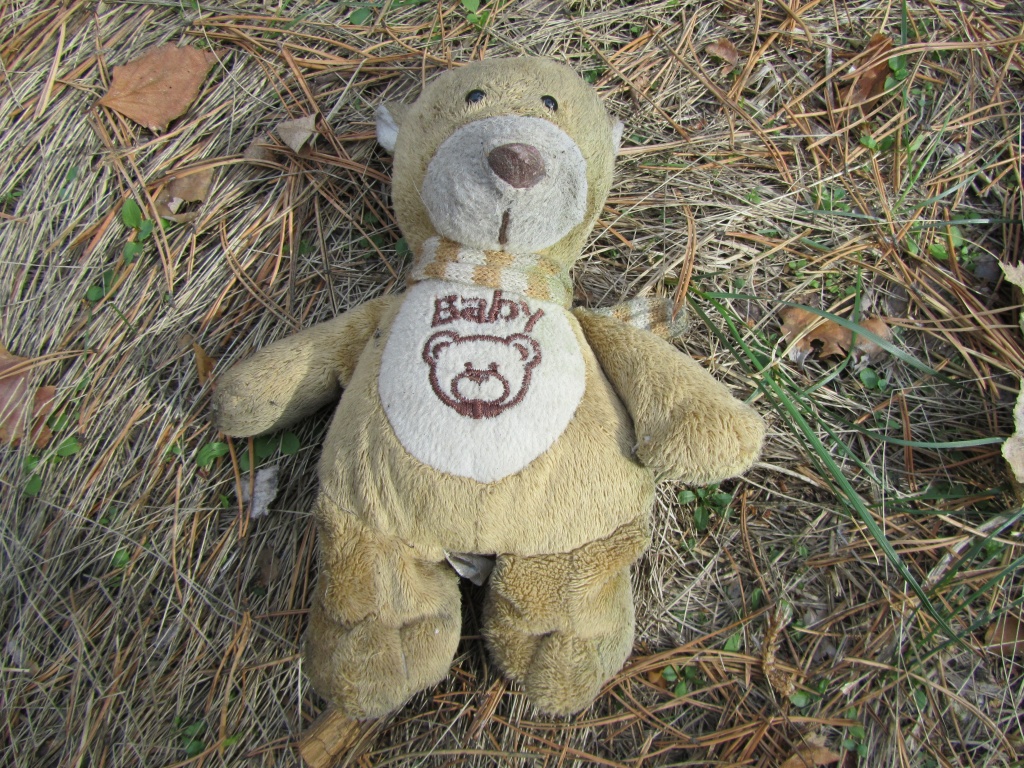 IMG_0470.jpg